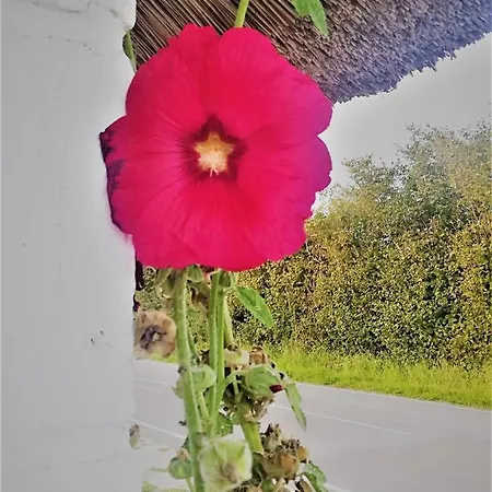 Taet Pa Langeso - Near Odense 아파트