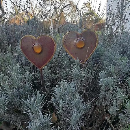 Taet Pa Langeso - Near Odense 莫鲁