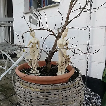 公寓 Taet Pa Langeso - Near Odense