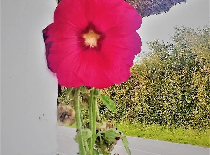 Taet Pa Langeso - Near Odense Lägenhet